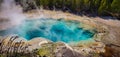 Emerald spring is a hot spring in norris Geyser Basin in Yellowstone National Park, Wyoming Royalty Free Stock Photo