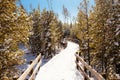 Emerald Spring at Norris Geyser Basin trail area, during winter in Yellowstone National Park, Wyoming Royalty Free Stock Photo