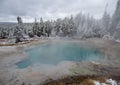 Emerald Spring in Norris Geyser Basin of Yellowstone Royalty Free Stock Photo