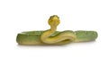 Emerald Tree Boa - Corallus caninus Royalty Free Stock Photo