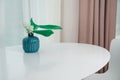 Emerald vase with lilies of the valley and green leaves on white roundy table with curtains and part of white chair in the