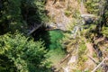 Emerald waters of Opal creek gathers in a small pool