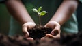 Close Up of Hands holding a green Sprout. Blurred Background