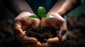 Close Up of Hands holding a green Sprout. Blurred Background