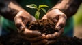 Close Up of Hands holding a green Sprout. Blurred Background