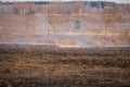 Emergency in a field, fire burns dry grass with animals Royalty Free Stock Photo