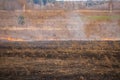 Emergency in a field, fire burns dry grass with animals Royalty Free Stock Photo