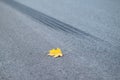 Emergency braking, tire track on the asphalt, close up Royalty Free Stock Photo