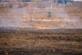 Emergency in a field, fire burns dry grass with animals Royalty Free Stock Photo