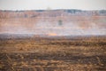 Emergency in a field, fire burns dry grass with animals Royalty Free Stock Photo