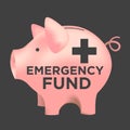 Emergency Fund Piggy Bank Royalty Free Stock Photo