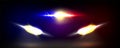 Emergency or police flashing beacon and headlight