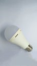 Emergency and Rechargeable LED Light Bulb in white background. selected focus Royalty Free Stock Photo