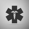 Emergency star - medical symbol Caduceus snake with stick icon isolated on grey background. Star of Life Royalty Free Stock Photo