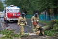 Emergency workers are clearing the streets from the collapsed the old tree after a storm