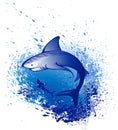 Emerges white shark Royalty Free Stock Photo