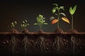 Emerging Young Plants with Visible Root Systems Growth and Vitality. AI