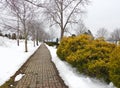 Emerson Park Auburn walking trail in wintertime Royalty Free Stock Photo
