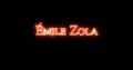 Emile Zola written with fire. Loop