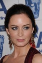 Emily Blunt Royalty Free Stock Photo