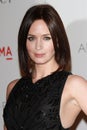 ,Emily Blunt Royalty Free Stock Photo