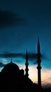 Eminonu Yeni Cami or New Mosque at sunset. Islamic concept vertical photo Royalty Free Stock Photo