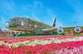 Emirates A380 plane among the flowers of Miracle Garden, Dubai, UAE Royalty Free Stock Photo