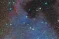 Emission nebula of North America in the constellation Swan and is a region of ionized hydrogen. Photo of the nebula and the star f