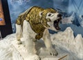 Emma Jayne Cake Design Golden Compass Polar Bear Exhibit