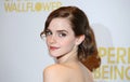 Emma Watson,Wallflowers Royalty Free Stock Photo