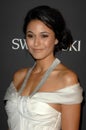 Emmanuelle Chriqui Royalty Free Stock Photo