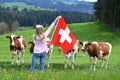 Emmental, Switzerland Royalty Free Stock Photo