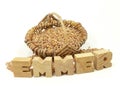 Emmer ur-grain on white Royalty Free Stock Photo