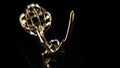 Emmy Award Loopable Close Up