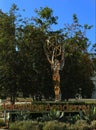 Emmy Statue at the Television Academy Royalty Free Stock Photo