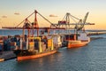 Emona Cargo Ship and Renate P Cargo Vessel docked at the Port of Barcelona at sunset Royalty Free Stock Photo