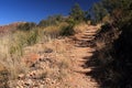 Emory Peak Trail