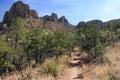 Emory Peak Trail