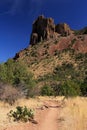 Emory Peak Trail