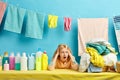 Emotional blonde woman is in panic as she doesn`t want to wash clothes by hand Royalty Free Stock Photo