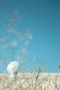 Emotional blue turquoise vintage background with one walking girl. Royalty Free Stock Photo