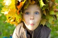 Emotional boy in a wreath from autumn leaves Royalty Free Stock Photo