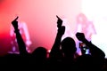 emotional crowd at a music concert. punk festival Royalty Free Stock Photo