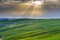 Emotional green fields in the light of the spring sunshine in Tu