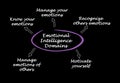 Emotional Intelligence Domains