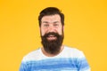 Emotional intelligence. Man bearded stylish beard yellow background. Barber tips. Beard and mustache. Hipster style