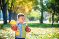 Emotional portrait of a happy and cheerful little boy laughing. yellow flying maple leaves while walking in the autumn park. Happy Royalty Free Stock Photo