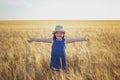 An emotional portrait of a little girl in a wheat field.