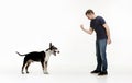 Emotional Portrait of a man and his Bull Terrier dog, concept of friendship and care of man and animal