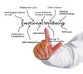 Emotional Wellbeing Royalty Free Stock Photo
